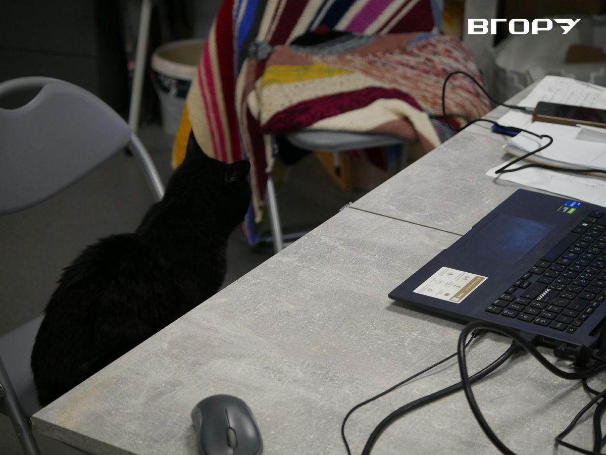 22 Мандрівний фестиваль Docudays UA в Херсоні